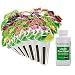 AeroGarden Colorful Coleus Seed Pod Kit (6-Pod)