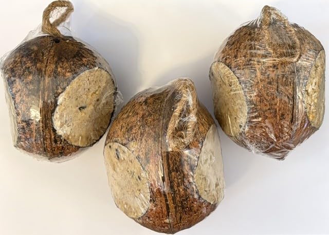 Suet Filled Whole Coconut Wild Bird Feeder with 3 Feeding Holes (Pack of 3)