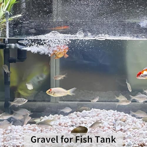 Image of BKD White Pebble Decorative Stones Marble Chips [3 Kg] for Aquarium Garden Indoor & Outdoor Decoration Pebble Stone White