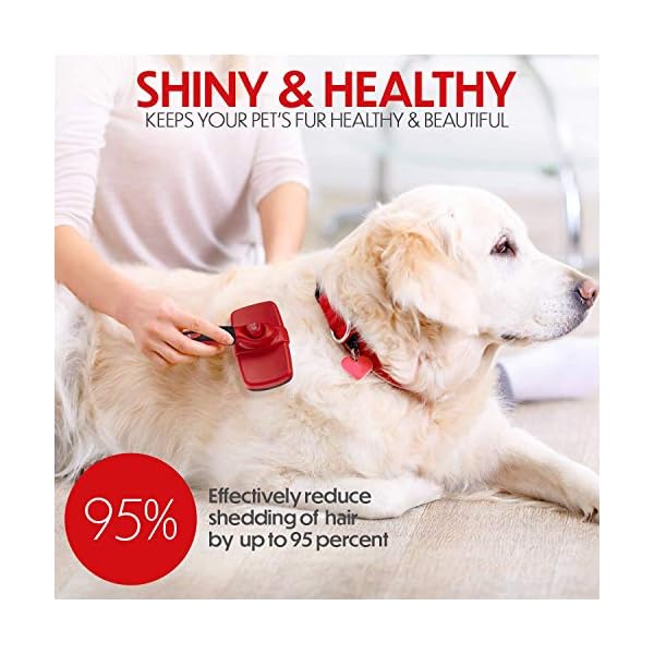 PET PULL Self Cleaning Slicker Brush Dog Brush Gently Removes Loose Pet Hair, Mats and Tangles in Cat and Dog Hair – Easy to Use and Easy to Clean Pet Brush Deshedding Grooming Tool Pet Hair Remover PET PULL Self Cleaning Slicker Brush Dog Brush Gently Removes Loose Pet Hair, Mats and Tangles in Cat and Dog Hair – Easy to Use and Easy to Clean Pet Brush Deshedding Grooming Tool Pet Hair Remover