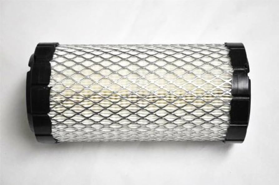 Amazon.com: Miller 187441 Air Filter,Kubota (D722Fb-25