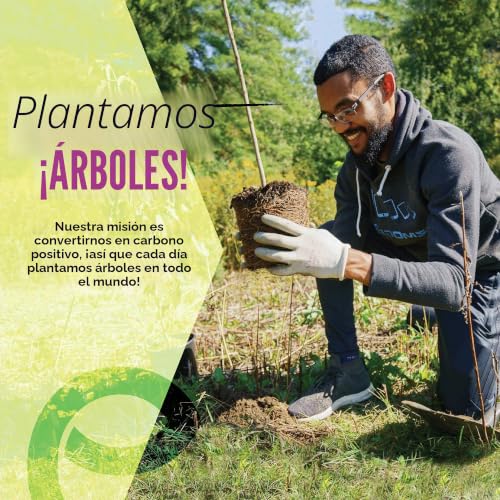 Miniatura 2 de 600 Brotes De Algodón De Bambú De Ecoslurps Un Árbol Plantado Con Cada Venta Cotton Buds, Swabs Qtips 600, Blanco