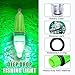 SILANON Deep Drop LED Fishing Light Underwater Waterproof Fishing Light Night Flashing Fishing Lure Light Attractants Fishing Lamp Tools for Attracting Bait Lures 5 Colors (Green, 5pcs-6.7inch)