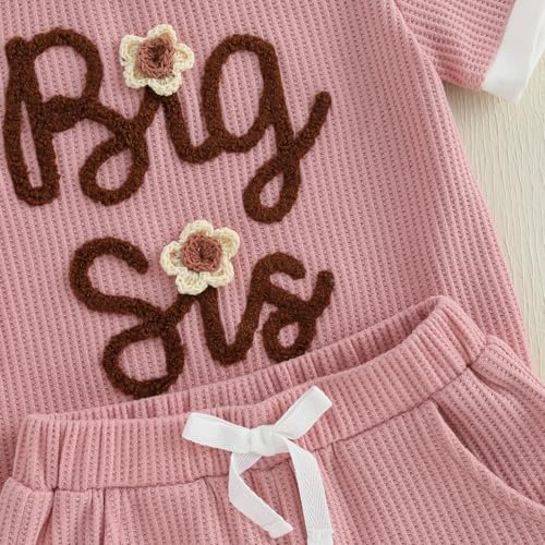 Baby Girl Sister Matching Outfit Embroidery Lil/Big Sis Short Sleeve T-shirt Tops Shorts Infant Girls Summer Clothes 6