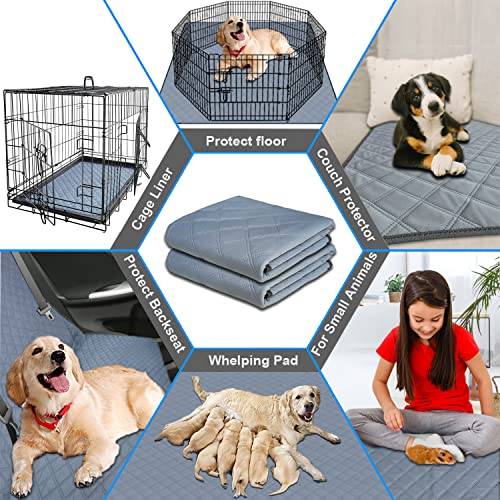 Image of RIOUSSI Washable Pee Pads for Dogs, Reusable, Absorbent, Leakproof, Non Slip Pet Puppy Pads for Potty Training. Light Gray, 31x36 Inch(4pack)