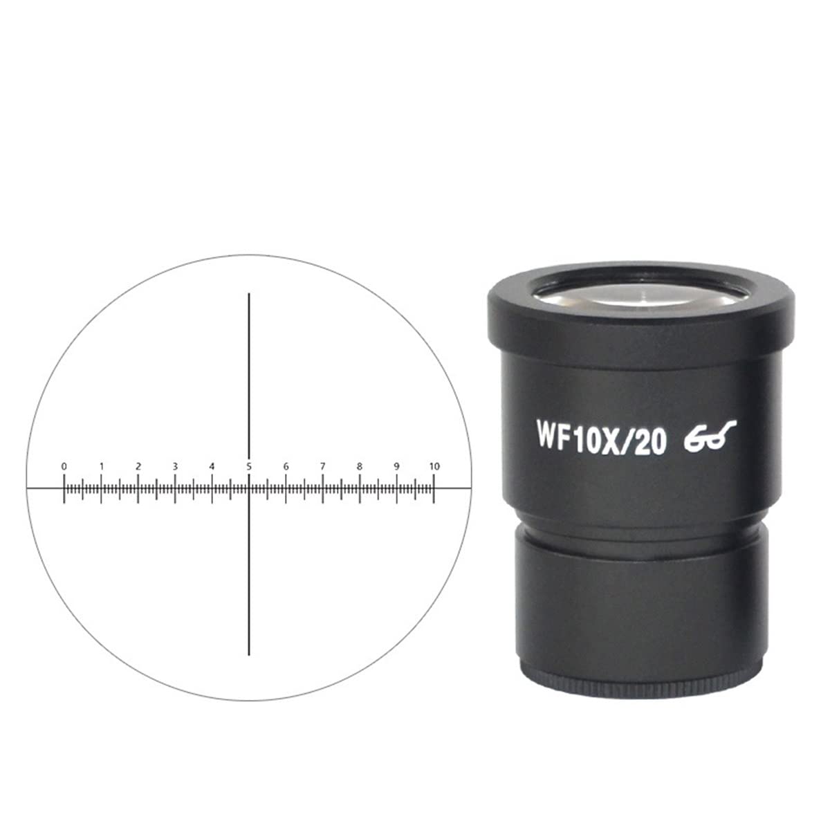 Accesorios para microscopios de Laboratorio Accesorios de Ocular de microscopio estéreo, Wf10x / 20x Micrómetro de Ocular de Gran Angular con retícula Cruzada(WF10X with Scale)