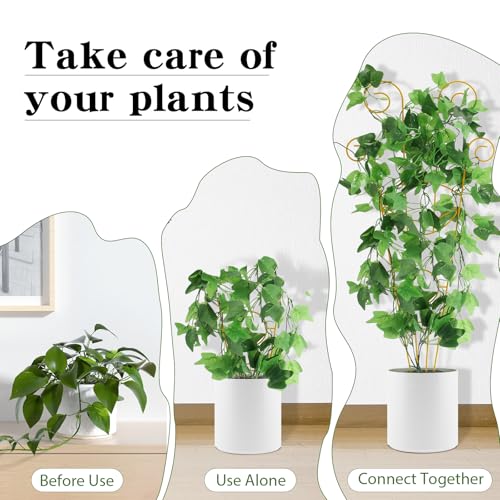 ZOUTOG Trellis for Climbing Plants Indoor 4 Pack 30 Inch,Rustproof Metal Garden Trellis for Potted Plants,Sturdy Houseplant Support Indoor Outdoor for Ivy Pothos Monstera Hoya Flower Vine(Golden Moon) by ZOUTOG - Image 4