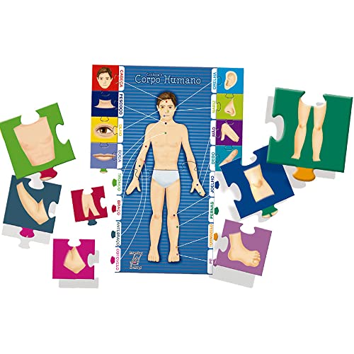 Brinquedo Pedagógico Madeira Conheça o Corpo Humano Brincadeira de Criança, Multicor