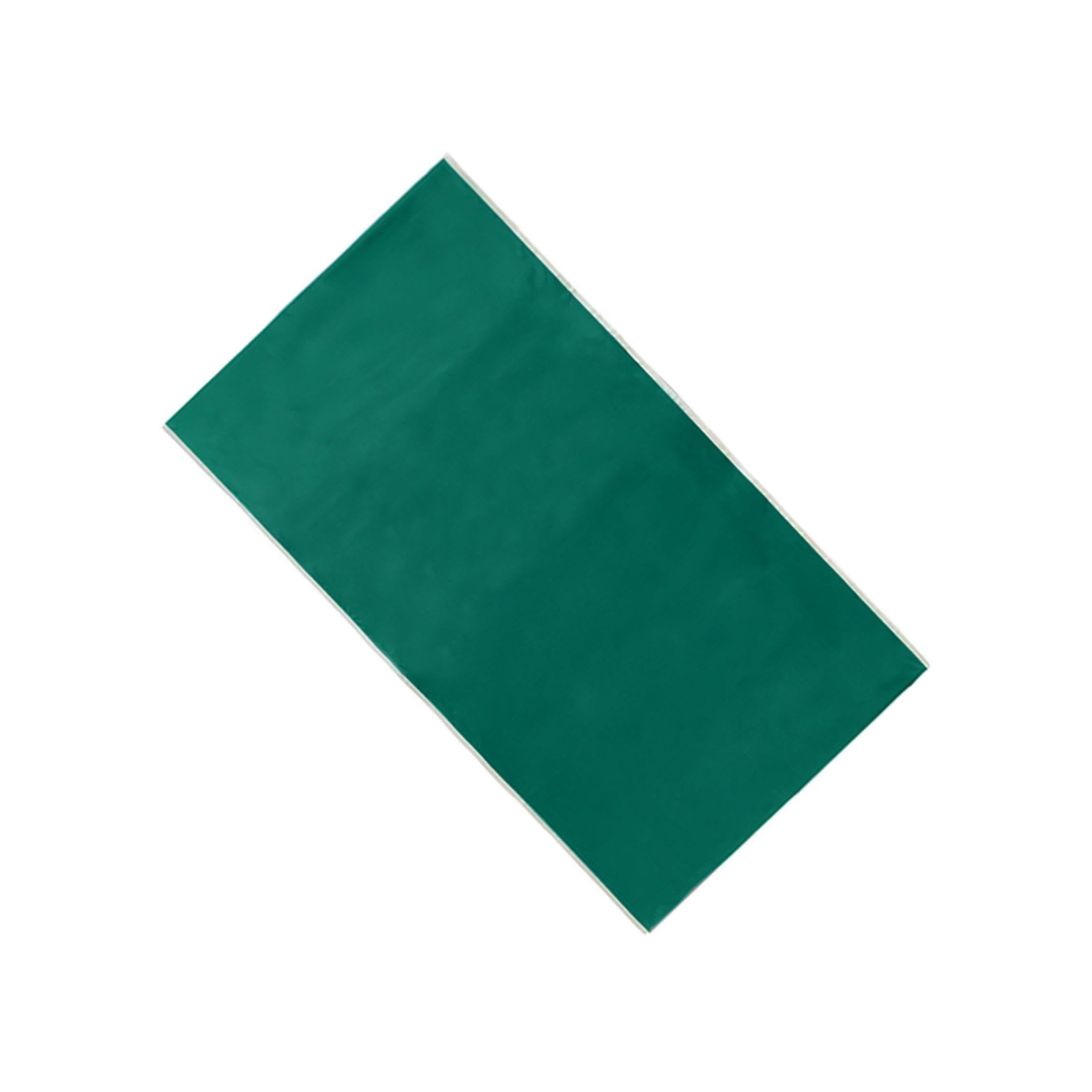 YIXANNX Transfer Aid For Patient Sliding Sheet | Smooth And Portable | Easy To Slide Sheet Care Pad Is Sturdy And Wear Resistant Portable Patients Slide , Green , 75x135cm