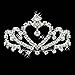 TOOGOO(R) Flower Rhinestone Bridal Tiara Crown w/Comb Pin for Wedding/Engagement/Prom