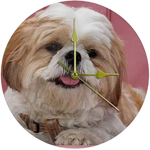 EZIOLY Acrylic Wall Clock Shih Tzu Dog Puppy 9.8 Inch Silent Non Ticking Quartz Battery Operated Unscaled Round Wall Clocks Decorative for Home Office School Cover