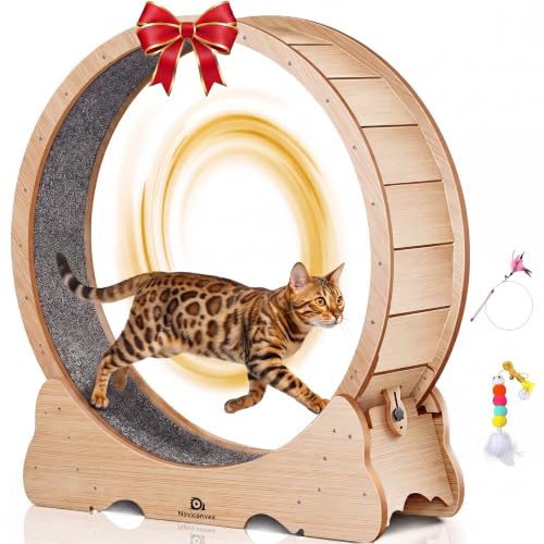 Naviconvex Roue pour Chat Couleur Bois Naturel XXL – Roue Chat diamètre 135 cm, silencieuse et Solide pour Exercice et Divertissement intérieur – Design...