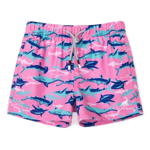 Image of SURF CUZ Boys Swim Trunks Toddler Swim Shorts UPF 50+ Bathing Suit for Boy Swimsuit Quick Dry Mesh Beach Boardshorts Swimwear