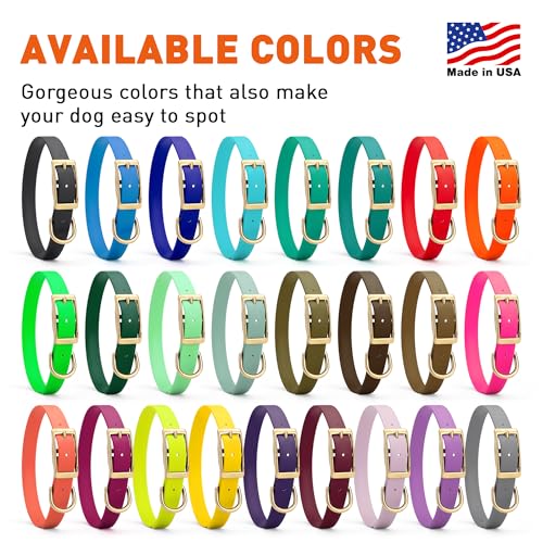 Image of Viper Biothane Heavy Duty Waterproof Dog Collar Strong Coated Nylon Webbing w /Solid Brass Hardware Odor-Proof Easy to Clean High Performance Fits Small Medium or Large Dogs, Hunter Orange