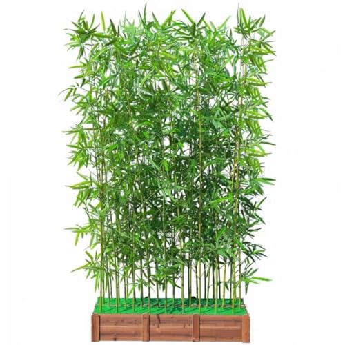 Hyalseen lH| ϗtA tFCN | 20{ 120cmt |tFX tFCNO[ EH[O[ lHϗtA  Ηt G} K[ftFX ډBtFX O  d؂ sv ͂Ȃ (150cm)