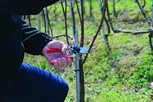 Felco Left Handed Secateurs Model 17 Medium Hands Forged Alloy Ergonomic Rotating Handle Floristry Gardening Horticulture Vineyard Bonsai Topiary Olive Grove Made In Switzerland - 7