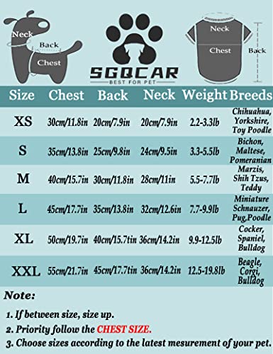 Sgqcar 8 Pieces Dog Shirts Blank Puppy T-Shirt Colorful Solid Pet Summer Clothes Breathable Dog Plain Shirts Outfit For Small Medium Dogs Cats S #TOP7