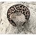 Global Huntress Alluring Natural Leopard Print Acrylic Bangle Cuff Bracelet