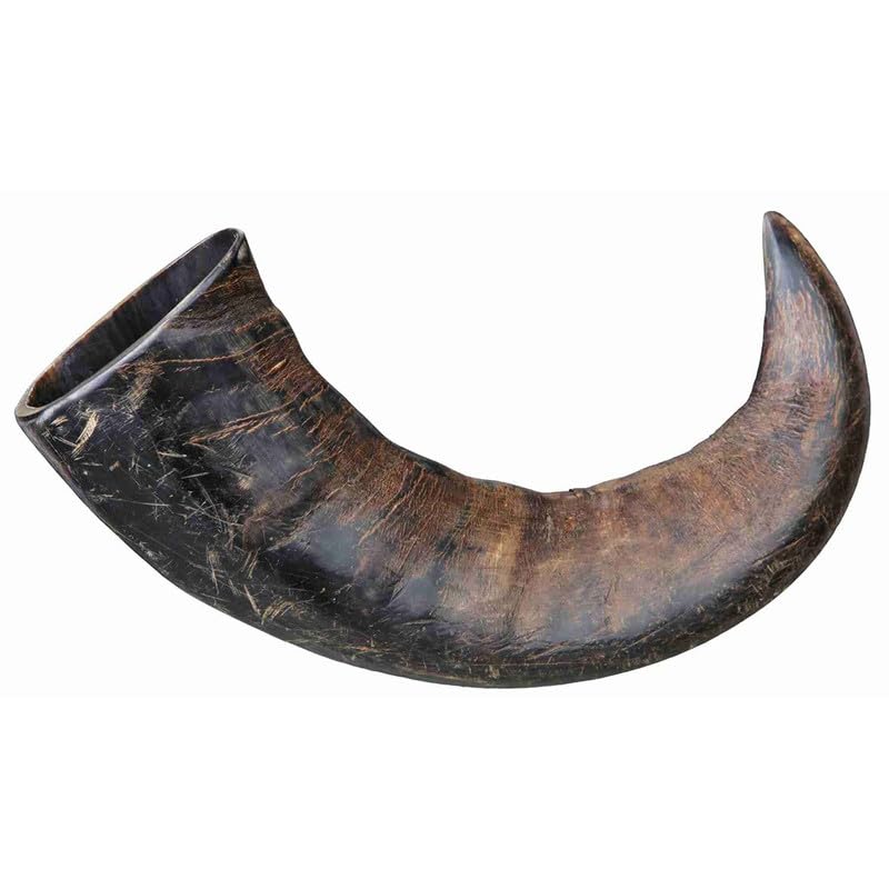 Superpet Buffalo Horn Natural Dog Treats, Long Lasting Dog Chews for Small, Medium and Large Dogs, Dental Chew Bones, Single Ingredient Horn Treat, Large 2 Pk