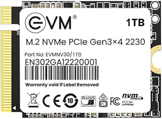EVM 1TB M.2 NVMe SSD 2230 PCIe Gen3x4 Internal SSD 3000MB/s Read 1900MB/s Write 3D NAND Flash Ultra Fast Storage Compact Size Laptop & Mini PC Compatible 5 Year Warranty (EVMNV30/1TB)