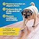 Dr Buzby’s Große Zehengriffe für Hunde – sofortige Traktion auf Holz-/Hartholzböden – rutschfeste Entlastung für Hunde – Hundegreifer für ältere Hunde – stoppt sofort ein Verrutschen – Gummi-Nägel für