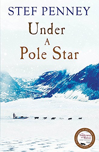 Under A Pole Star view 2