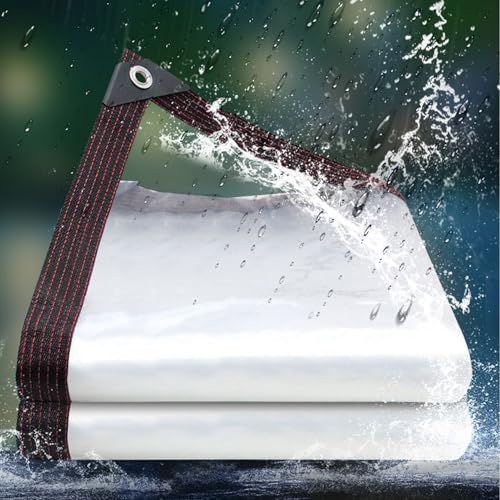 Impermeable transparente contra el frío de invierno en plantas y gallineros 4