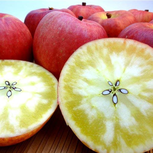 青森県産 蜜入りりんご こみつ 2ｋｇ(13玉入り)