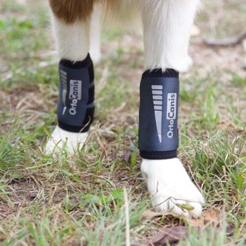 Ortocanis - Karpalgelenk-Bandage für Hund - Arthrose, Bänder- und Sehnenverletzungen oder Agility-Hunde - Hergestellt aus Neopren ARD - Größe L 17-19 cm