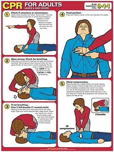 CPR for Adults Updated Standards for 2017-18" x 24" Laminated Poster