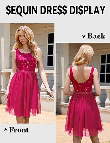 BeryLove Vintage Mesh Swing Maxi Dress for Women Formal Weddings Cocktailparty