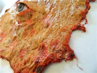 Latex Flesh Prop With Realistic Acrylic Eye - 6x6 Inch Halloween Horror Decoration By Dead Head Props - View #13