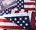 WINDSTRONG 3x5 FT Heavy Duty US American Flag with Embroidered Stars Sewn Stripes Reinforced Corners Commercial Polyester High Wind Flag