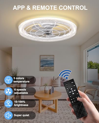 Smart Ceiling Light with Music Speaker