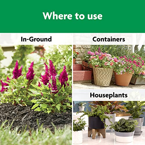 Image of Miracle-Gro Shake 'N Feed All Purpose Plant Food, 1 lb. | Outdoor and Indoor Plant Food for In-Ground and Containers, Feeds for up to 3 Months