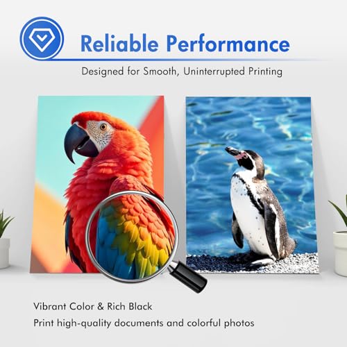 Image of LC501 MFC-J1360DW Ink Cartridges for Brother Printer LC501XL LC 501 Series Inks for Brother Work Smart 1360 MFC-J1260W MFC-J1260DW MFC-J1410DW MFCJ1360DW MFC J1360DW (4Pack Black Cyan Magenta Yellow)