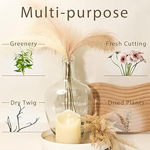 Large glass vase clear for decor large glass jug vase farmhouse style big belly large clear glass vase tabletop bedroom centerpieces decorative flower floor vase  urban country home decor