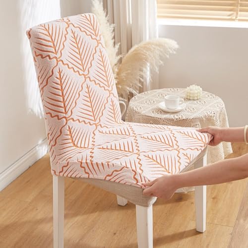 Image of HOMETHREADS Stretchable Elastic Jacquard Chair Seat Cover | Removable, Washable & Durable Chair Protector | Ideal for Dining Room, Kitchen, Restaurant & Party Chairs (Orange, Pack of 2)