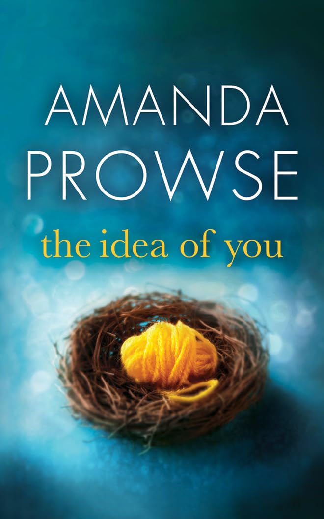 The Idea of You