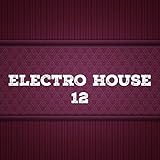  Electro House, Vol. 12