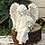 JARPSIRY Angel Garden Statue, Sitting Angel Sculpture, Resin Angel with Bird Figurine for Patio Yard Porch Lawn Outdoor Decor Home Shelf Sitter Memorial Spiritual Gifts