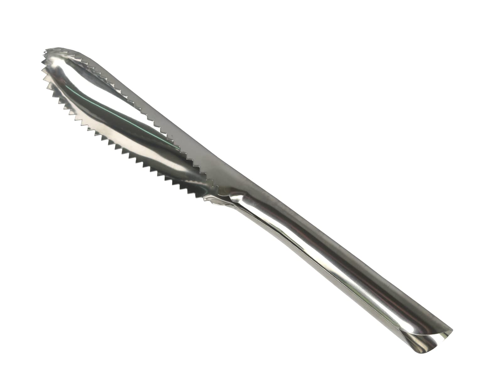 Tredoni 12cm Stainless Steel Serrated Fish Scale Scraper/Remover, Fish Scaler Cleaner