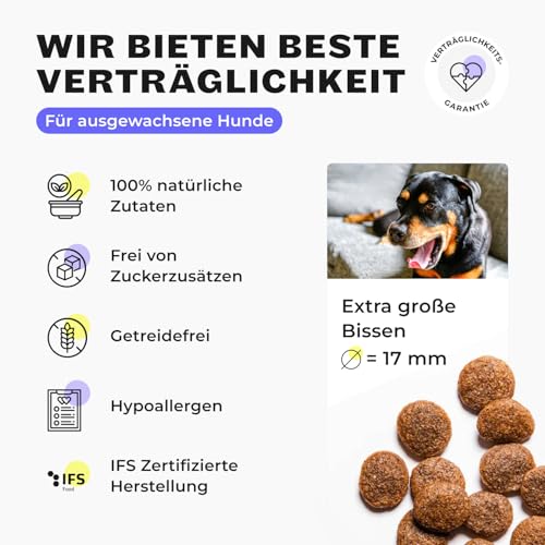 HEY HOLY Premium Trockenfutter für Molosser 100% getreidefrei | 14kg hypoallergenes Hundefutter für ausgewachsene Molosser mit Rind | Hochverträglich aus natürlichen Zutaten