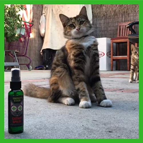 CBROSEY Smokey's Stash Cat Catnip Spray and Dried Organic Catnip Combo Maximum Potency cat nip Bundle - Image 4