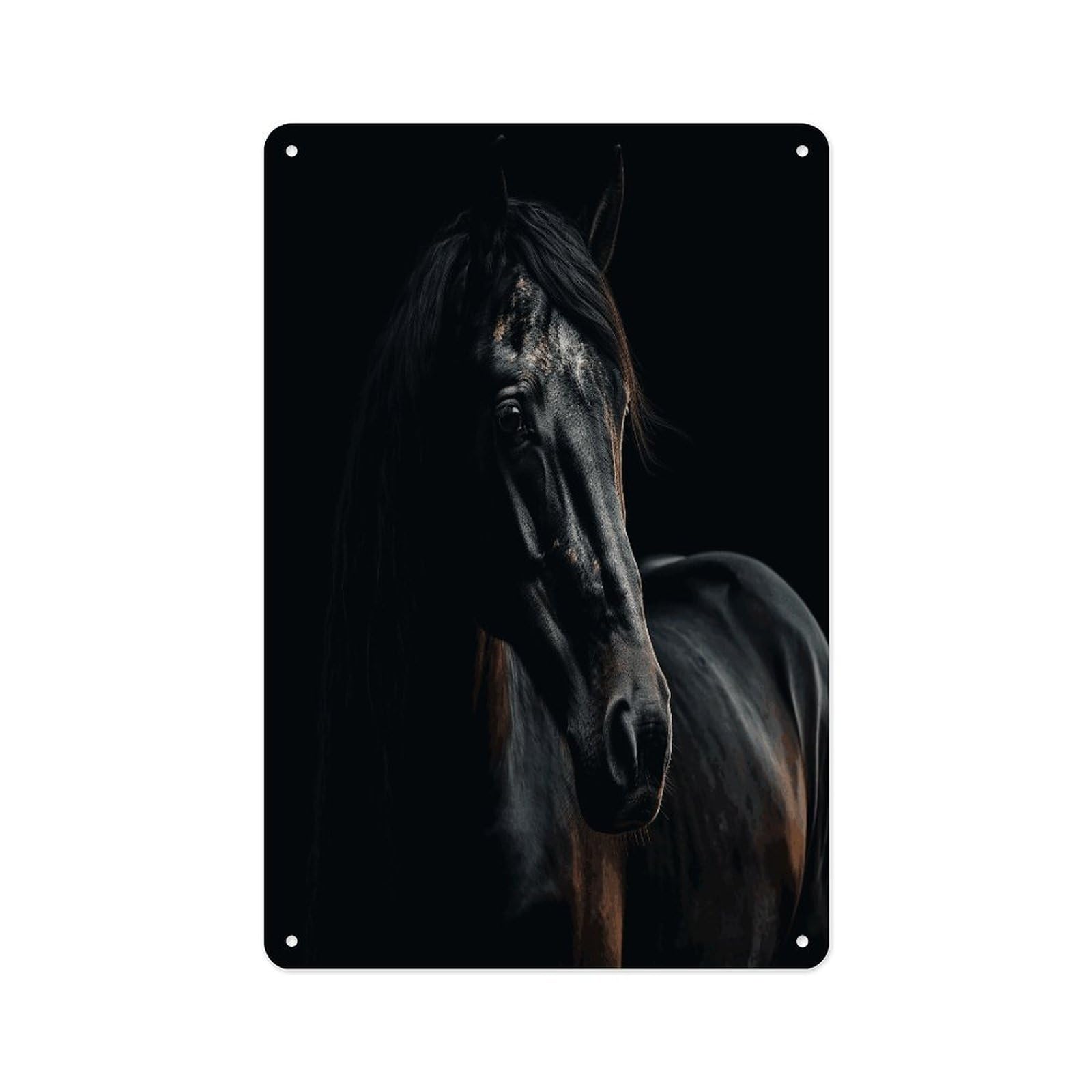 Fekiloot Style A Dark Horse Wall Decor Metal Signs Tin Signs Poster