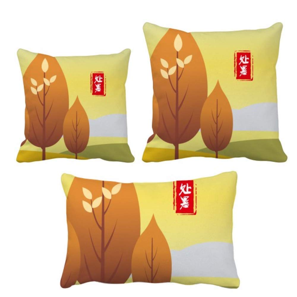 Coussin de chaleur solaire canapé - lot 24 inserts coussins accueil sofa decor maison de qualité