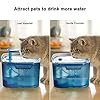 Petory-Cat-Water-Fountain-Automatic-Pet-Water-Fountain-Cat-Water-Dispenser-with-2-Replacement-Filters-74oz22L-BPA-Free-Water-Fountain-for-Cats-Inside-with-2-Flow-Modes Water Fountain for Dogs with 2 Flow Modes
