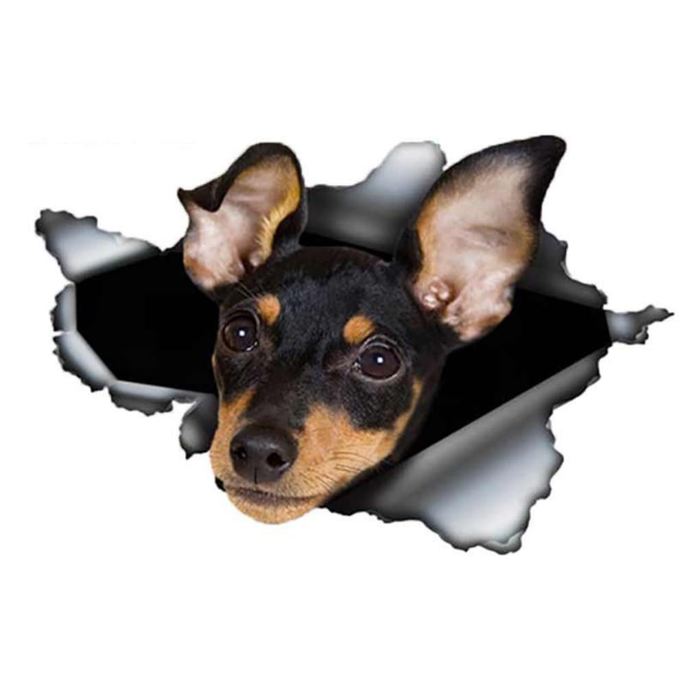 Autoaufkleber Jack Russell Terrier Aufkleber 15cm(5.9 Inch)