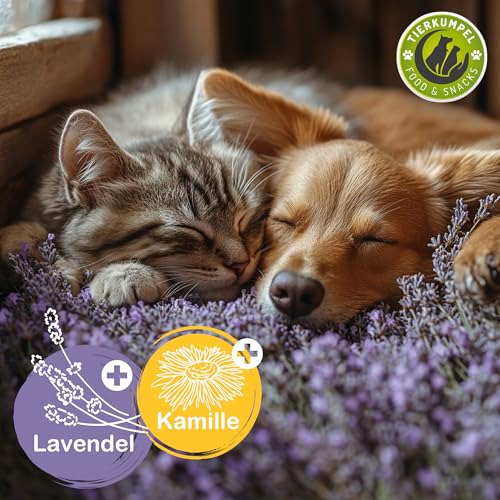 Tierkumpel Food & Snack - 150g Beruhigende Leckerlis für Hund und Katze - Natürliche Beruhigung mit Lavendel und Kamille bei Stress, Angst und Nervosität - Hunde Leckerlie probiotisch zur Entspannung