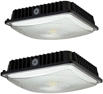 100W LED Canopy Light Balcony Car Park Lane Ceiling Light Pack of 2